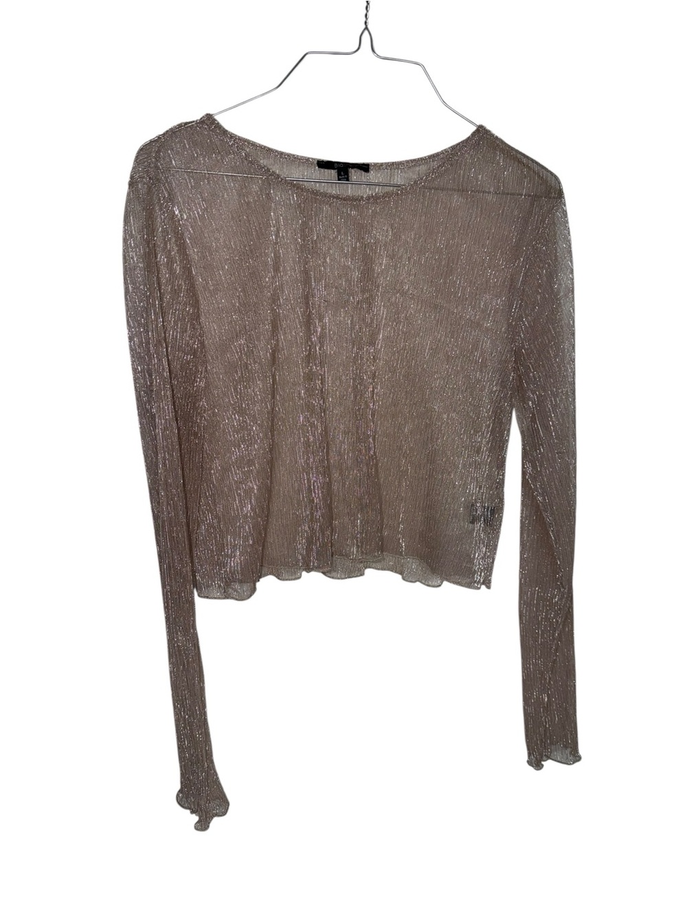 Sheer Shimmery Long Sleeve Top - Taupe
